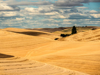 Threatening Skies over Palouse Recently Harvested Field