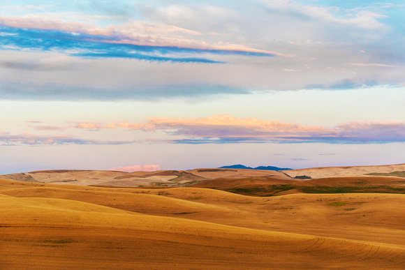 Partially Harvested Wheat Field at Sunrise, the Palouse