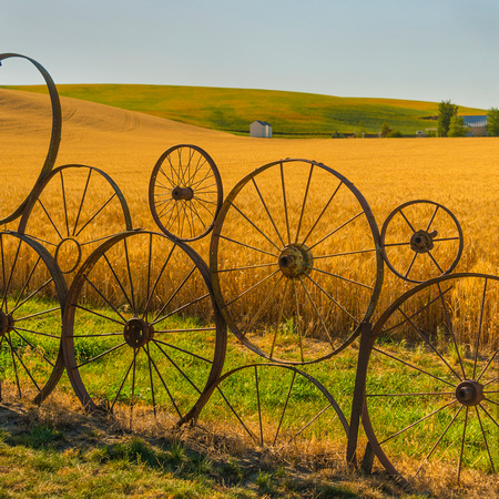 Wheel Fence, the Palouse